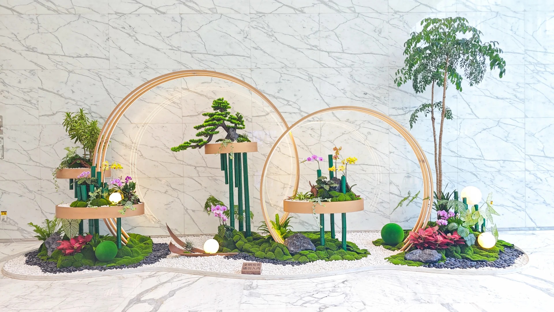 专业花木出租,宁波奉化的绿色之选等你来