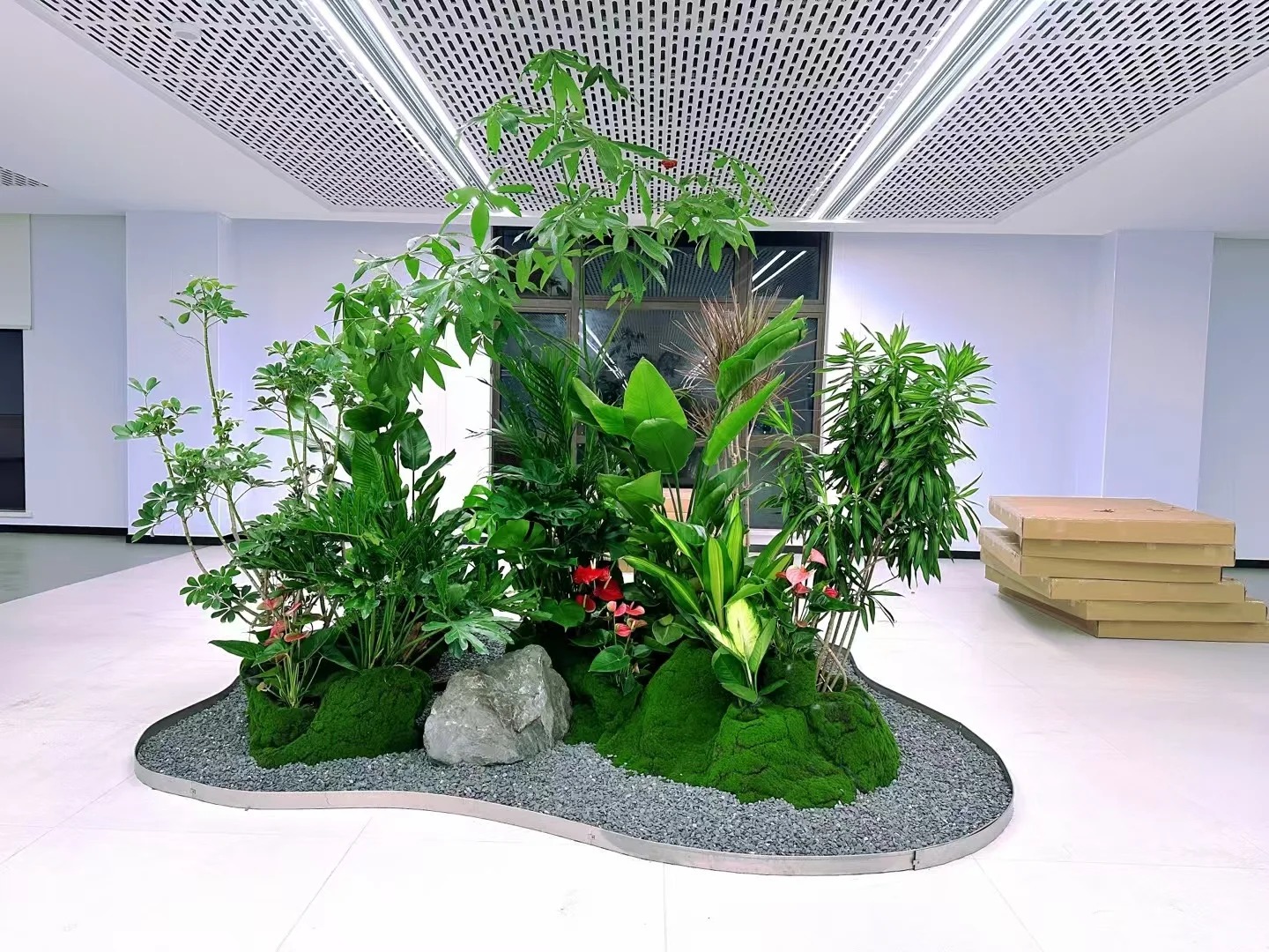 专业花木出租,宁波奉化的绿色之选等你来